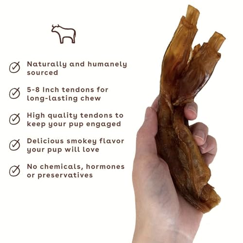 Beef Tendons for Dogs & Puppies (2.3 Ounce (Pack of 5) / Turbo)