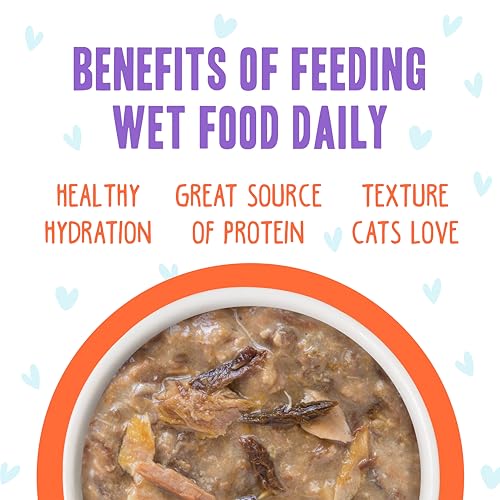 B.F.F. OMG Best Feline Friend Oh My Gravy! Grain (5.5 Ounce (Pack of 8))