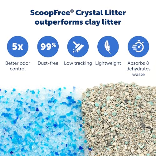 ScoopFree Disposable Crystal Cat Litter Tray (3-Pack)
