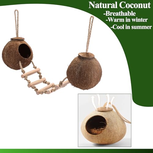 Gecko Tank Accessories
