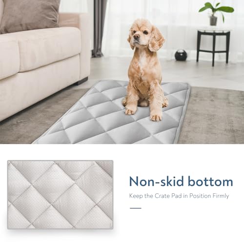 Dog Crate Pad 2 Pack (24 x 18 Inch)