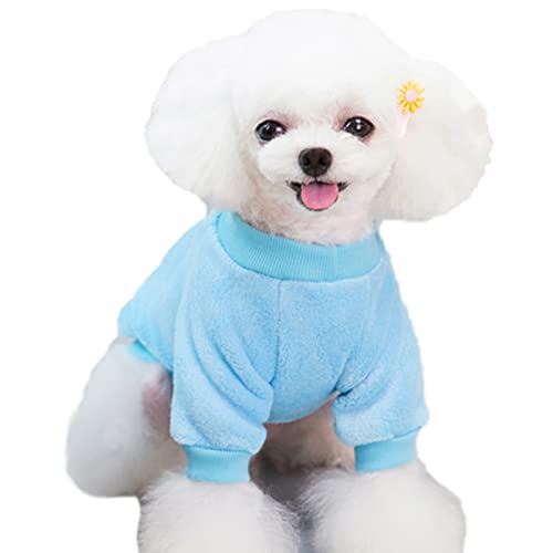 Dog Sweaters for Small Dogs (Z01-Blue / Medium)