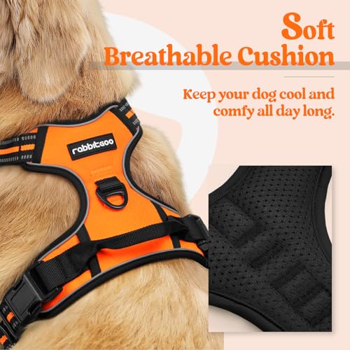 Dog Harness No Pull for Small Dogs with 2 Leash Clips (Small / Orange)
