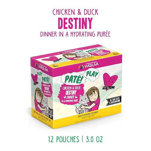 B.F.F. Play Best Feline Friend Paté Lovers (3 Ounce (Pack of 12))