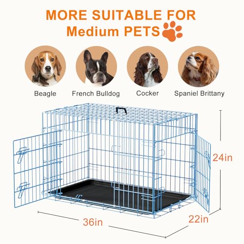 36" Foldable Metal Dog Crate (Blue)