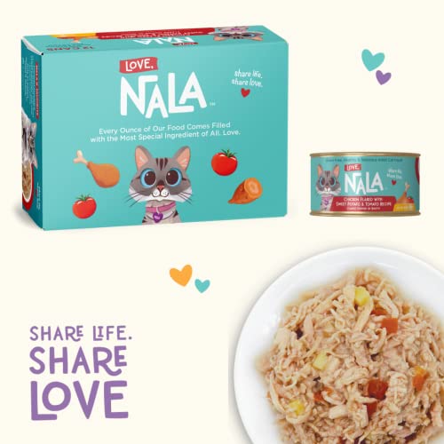 Natural Adult Cat Wet Food