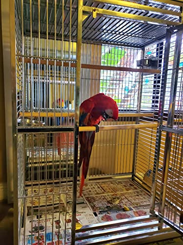 304 Stainless Steel XL Extra Large Bird Parrot Macaw Indoor Outdoor Cage Play Top Medical Grade Stainless SUS304