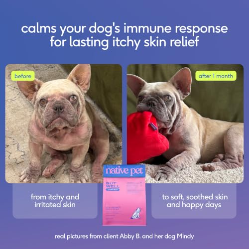 Itchy Skin Dog Itching Skin Relief (60 Count)
