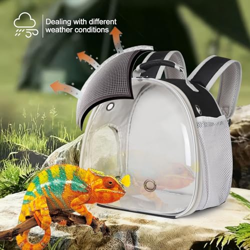 Bearded Dragon Travel Backpack with Harness and Leash Set (Black)