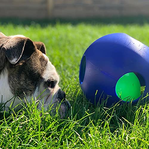Teaser Ball Interactive Dog Toy (Blue / Large (8 in))