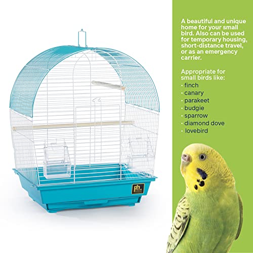 South Beach Dome Top Bird Cage (Dome - Teal / 10.6"L x 0.6"W x 18.1"H)
