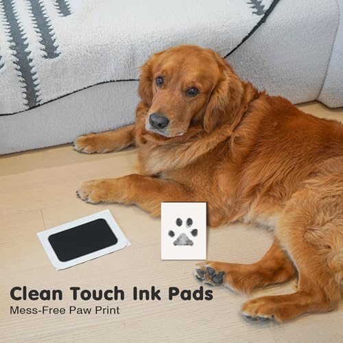 Inkless Paw Print Kit for Dogs (Black Pad,Black/Natural Wood Frame / 4-Pack,Large)