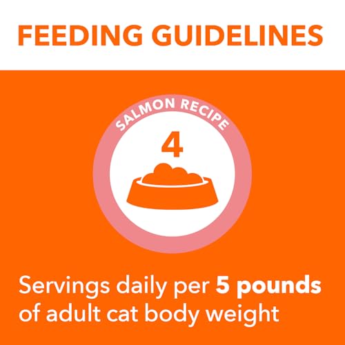 Perfect Portions Indoor Cuts in Gravy Wet Cat Food (24 Count (Pack of 1))