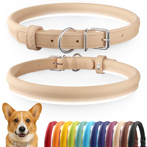Tangle Free Reflective Leather Dog Collar (Beige / M)