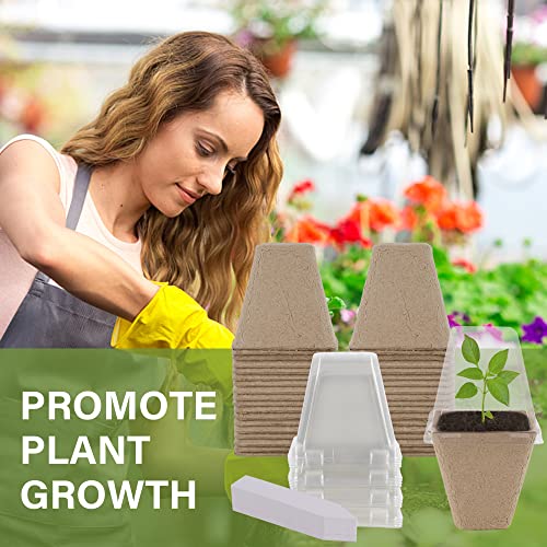 Seed Starter Peat Pots (Square)
