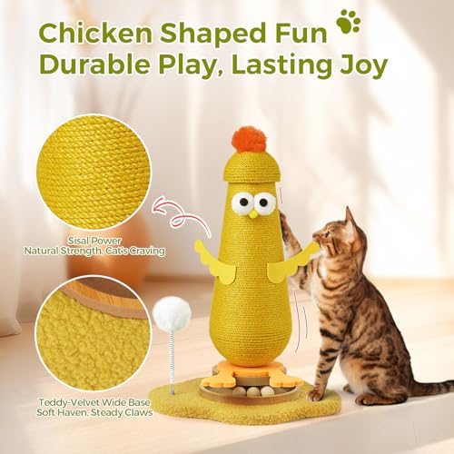 Kitten Toys for Indoor Cats Scratching Post