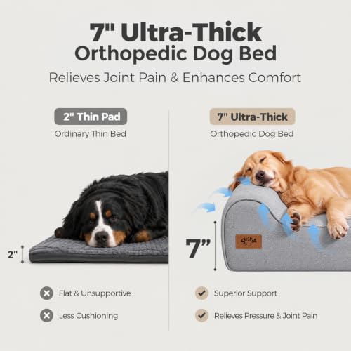 7" Thick Orthopedic Dog Beds for Extra Large Dogs (XX-Large / Style B-Grey)