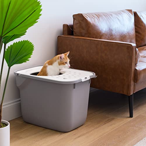 Large Top Entry Cat Litter Box (Top Entry / Gray)