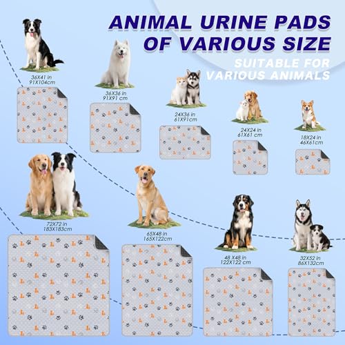 Washable Pee Pads for Dogs (Orange / 24"x48" (Pack of 2))