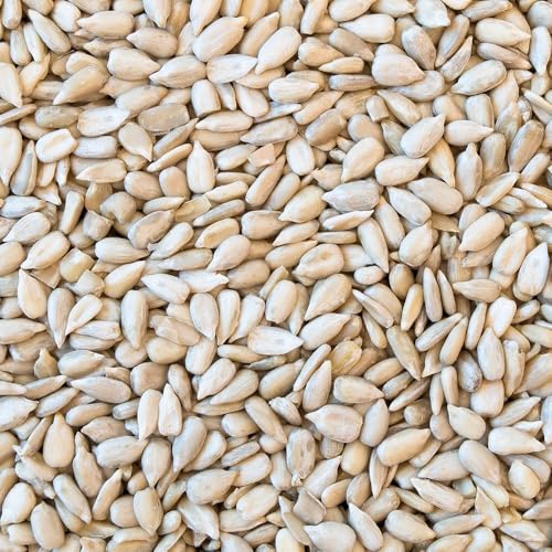 5LB Sunflower Heart & Chips (5 Pound (Pack of 1))