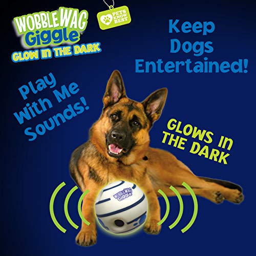 Glow in the Dark (Glow In The Dark)