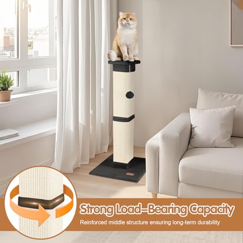 Cat Scratching Post 33 inch for Indoor Cats (Black)