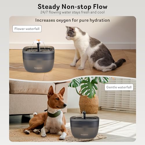 Automatic Cat Feeder and Water Dispenser FW1 (Black)
