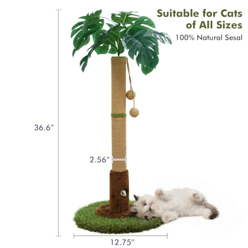 35" inch Cat Scratching Post (35.34-Brown / 35.4in)