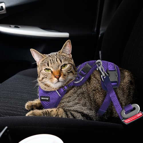 Cat Harness Cat Harness and Leash for Walking (Purple / Small)