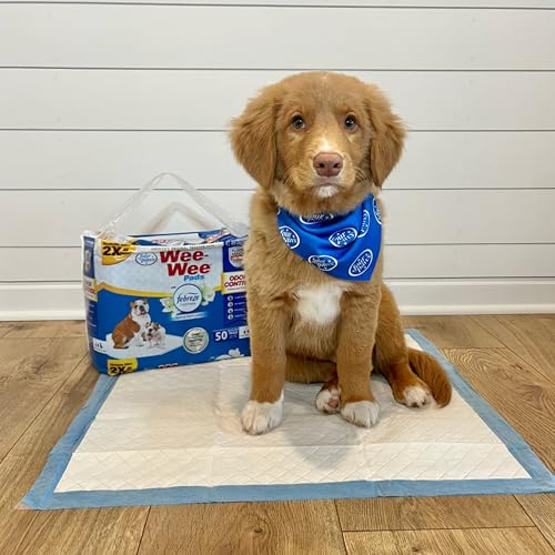 Wee Wee Odor Control Dog Pee Pads with Febreze Freshness (150 Count)