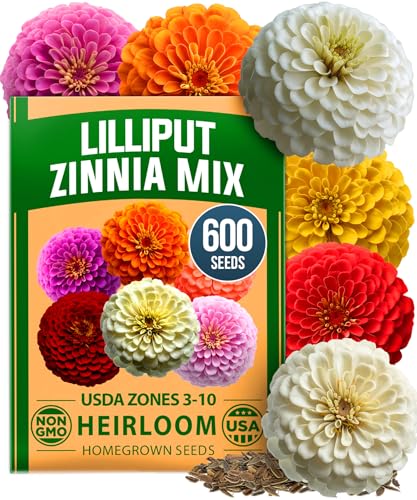 Zinnia Seeds Lilliput Mix