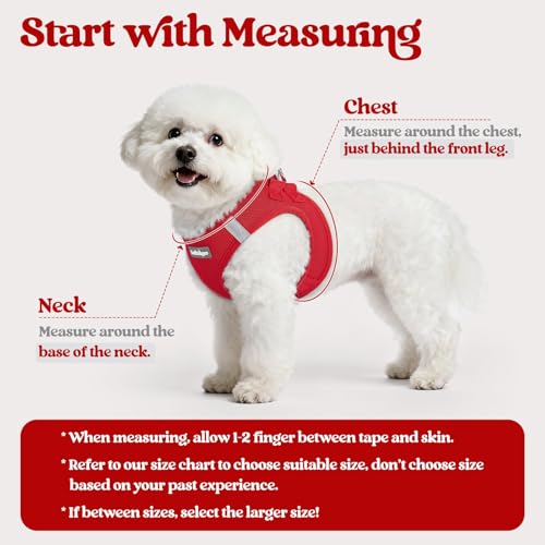 Dog Harness Small Sized and Leash Set (Red / Xs (chest: 13.3 - 15.5"))