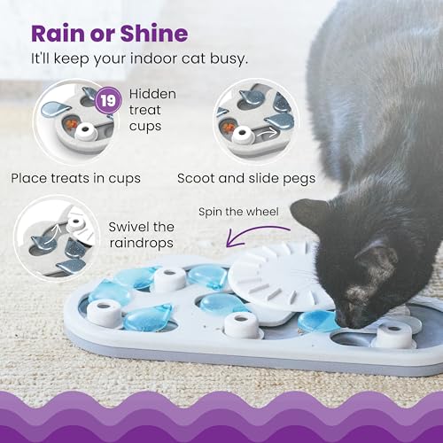 Nina Ottosson Rainy Day Puzzle & Play Cat Toy Treat Puzzle