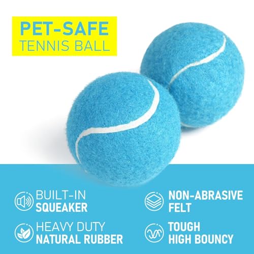 Durable Dog Tennis Balls 3 Pack (2.5" Non-Squeaky / 3 Pack, Blue)