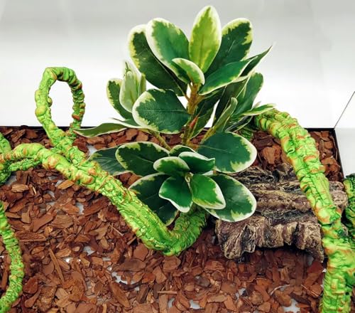 Reptile Plants Terrarium Decor (White and Green)