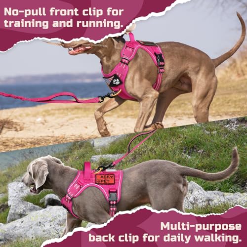 Tactical Dog Harness for Small (Rose Red / Small)