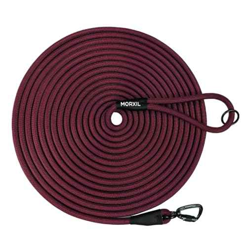 Long Dog Leash (Red / 10FT*0.4" Single Handle)