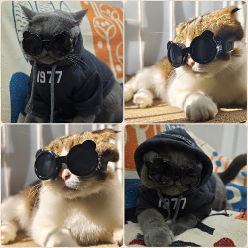 Dog Goggles for Small Breed UV (Black / X-Small)