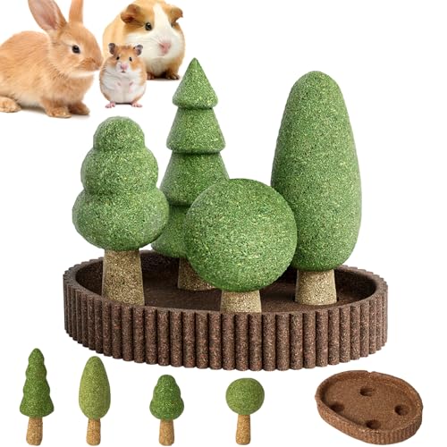 Hamster Chew Toys for Teeth
