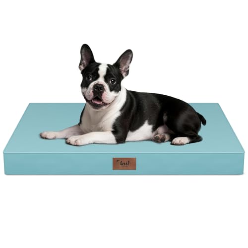 Orthopedic Waterproof Dog Bed for Small Dogs and Cats (Light Blue / 29.0"L x 18.0"W x 3.0"Th)