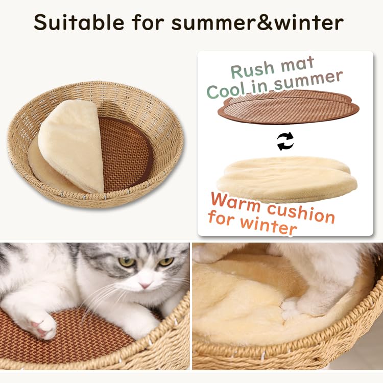 Modern Cat Tree for Large Cat (Brown Y909)