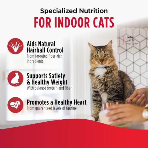 FreeStyle Dry Cat Food Indoor (14 Pound (Pack of 1))