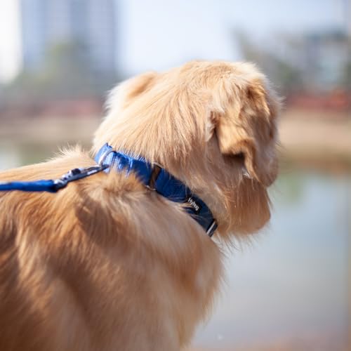 Martingale Collar for Dogs Small Blue (Small / Classic blue)