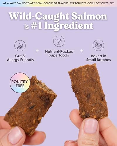 Salmon Jerky Training Treats (16 Ounce (Pack of 1))