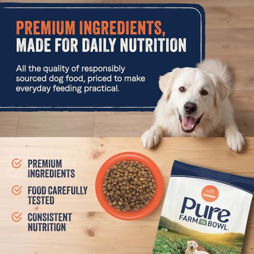 Pure Farm to Bowl Dog Food (22 Pound (Pack of 1))