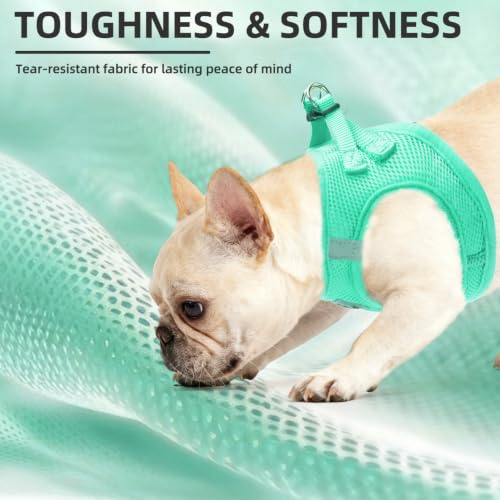 Dog Harness Collar and Leash Set No Pull for Small Medium Sized (Solid Green / S (CHEST 14.5"-16"))