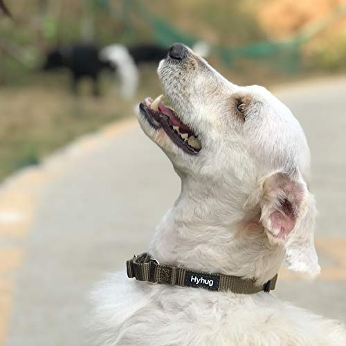 Martingale Collar for Dogs Small Green (Small / Military Green)