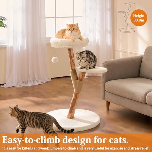 2 Tier Cat Tree for Kittens & Small Cats (White / Small 2-Tier)