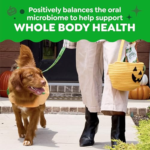 Regular Natural Dental Dog Treats (12 Count (Pack of 1))