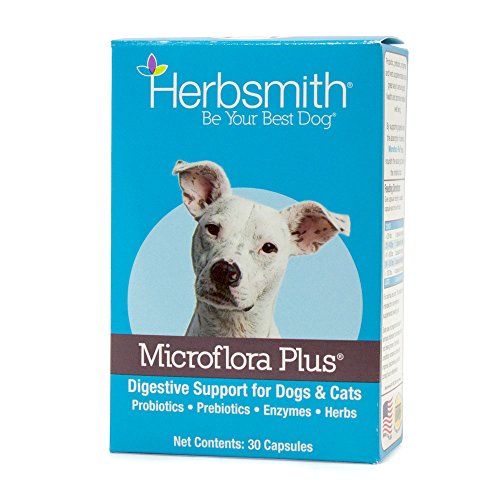 Microflora Plus (30 Capsules / For Dogs)